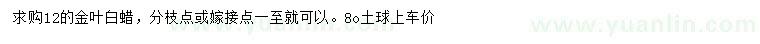 求購(gòu)12公分金葉白蠟