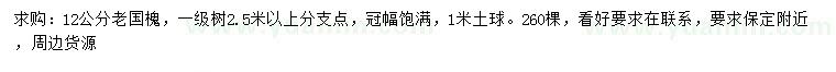 求購12公分老國槐