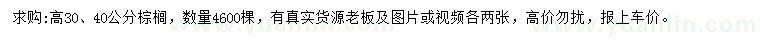 求購高30、40公分棕櫚