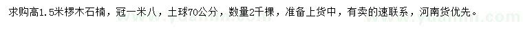 求購高1.5米欏木石楠