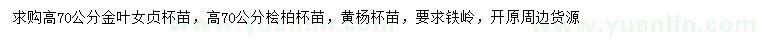 求購金葉女貞、檜柏、黃楊