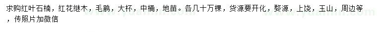 求購紅葉石楠、紅花繼木、毛鵑