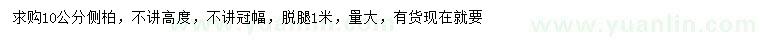 求購(gòu)10公分側(cè)柏