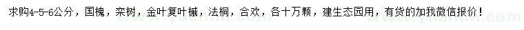 求購國槐、欒樹、金葉復葉槭等