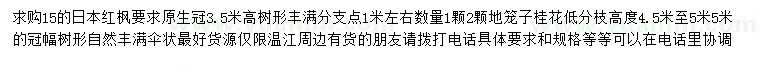 求購15公分日本紅楓、高4.5-5.5米桂花