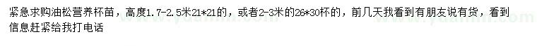 求購高1.7-2.5米油松