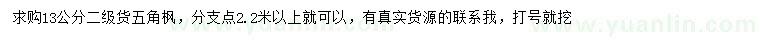 求購13公分五角楓
