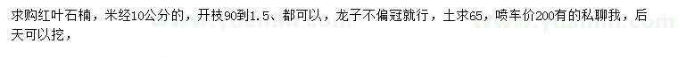 求購米徑10公分紅葉石楠