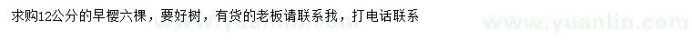 求購12公分早櫻