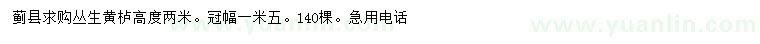 求購高2米叢生黃櫨