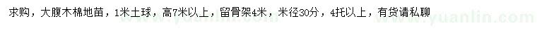 求購高7米以上大腹木棉