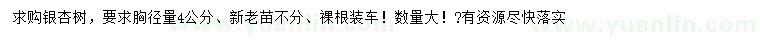 求購胸徑4公分銀杏