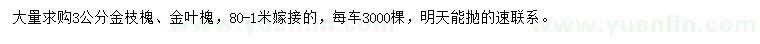 求購3公分金枝槐、金葉槐