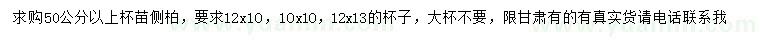 求購50公分以上側(cè)柏