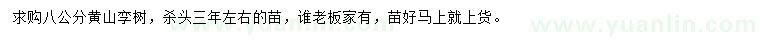 求購8公分黃山欒