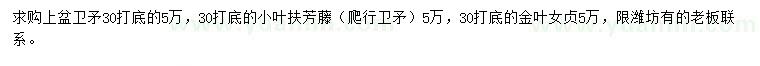 求購衛(wèi)矛、小葉扶芳藤、金葉女貞