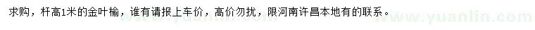 求購桿高1米金葉榆