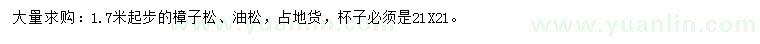 求購(gòu)1.7米起步樟子松、油松