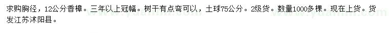 求購胸徑12公分香樟