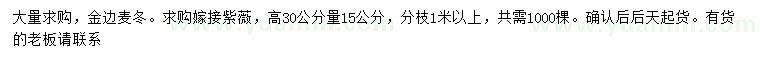 求購金邊麥冬、高30量15公分紫薇