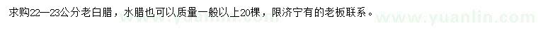 求購22-23公分老白臘