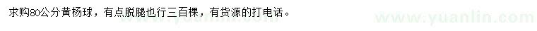 求購(gòu)80公分黃楊球