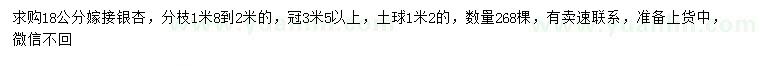 求購18公分嫁接銀杏