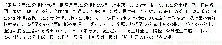 求購楸樹、北欒、金葉槐等