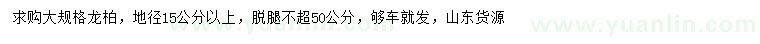 求購地徑15公分以上龍柏