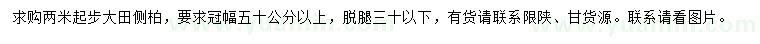 求購2米起步側(cè)柏