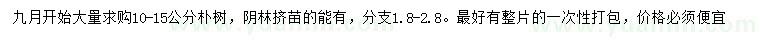 求購10-15公分樸樹