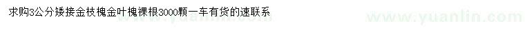 求購3公分矮接金枝槐、金葉槐
