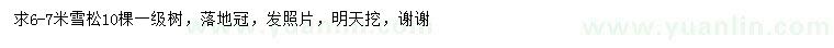 求購(gòu)6-7米雪松