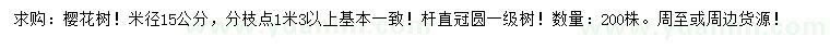 求購米徑15公分櫻花