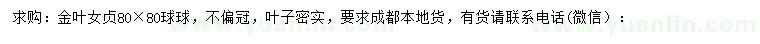 求購金葉女貞