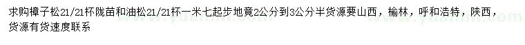 求購1.7米起步樟子松