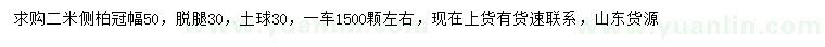 求購(gòu)2米側(cè)柏