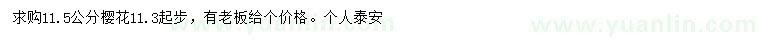 求購(gòu)11.5公分櫻花1