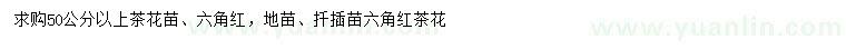 求購(gòu)50公分以上茶花苗、六角紅		