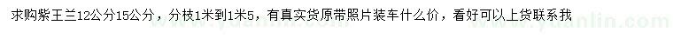求購12、15公分紫王蘭