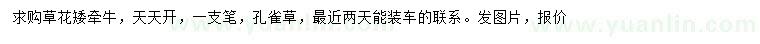 求購矮牽牛、天天開、一支筆等