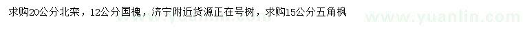 求購(gòu)北欒、國(guó)槐、五角楓
