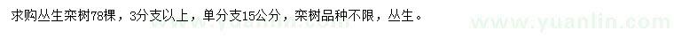 求購(gòu)叢生欒樹