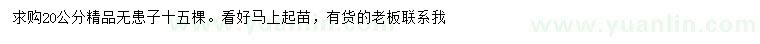 求購20公分無患子