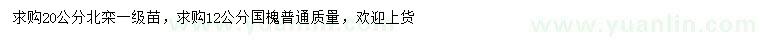 求購(gòu)20公分北欒、12公分國(guó)槐