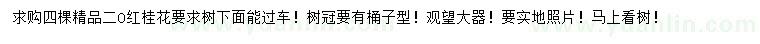 求購20公分紅桂花