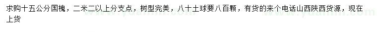 求購15公分國槐