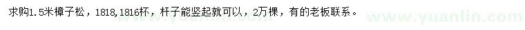 求購1.5米樟子松