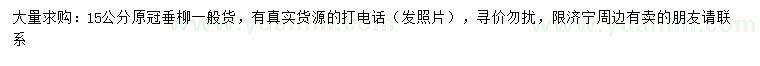 求購15公分垂柳