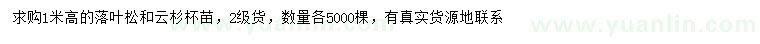 求購高1米落葉松、云杉
